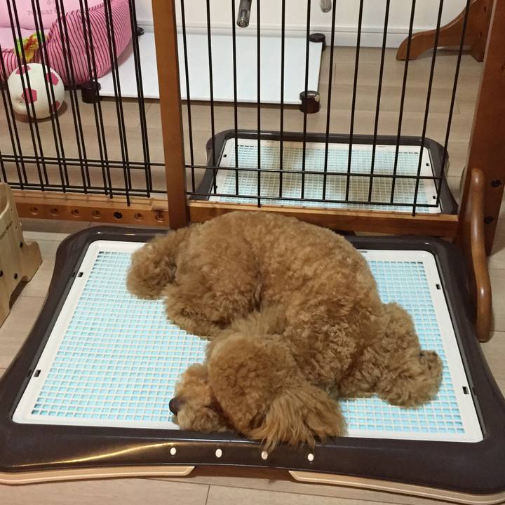 2c348874 97b9 4d42 af71 f12f75d1e878