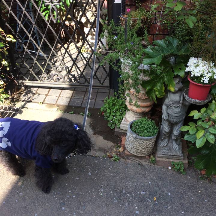 2c3503fb f56c 40a4 9262 9aa33afa264e