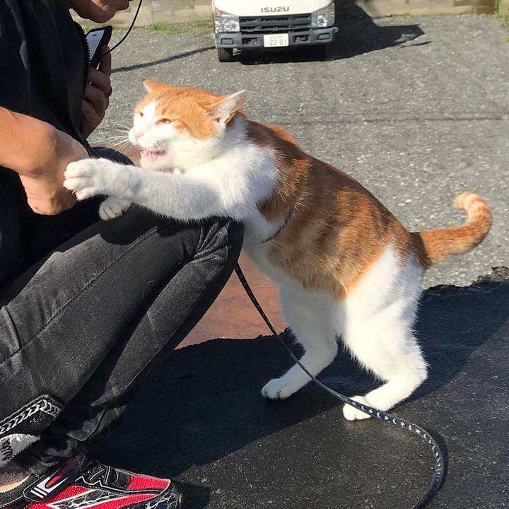 2c35390d ceec 479f a7ef 9c7c41e3660f