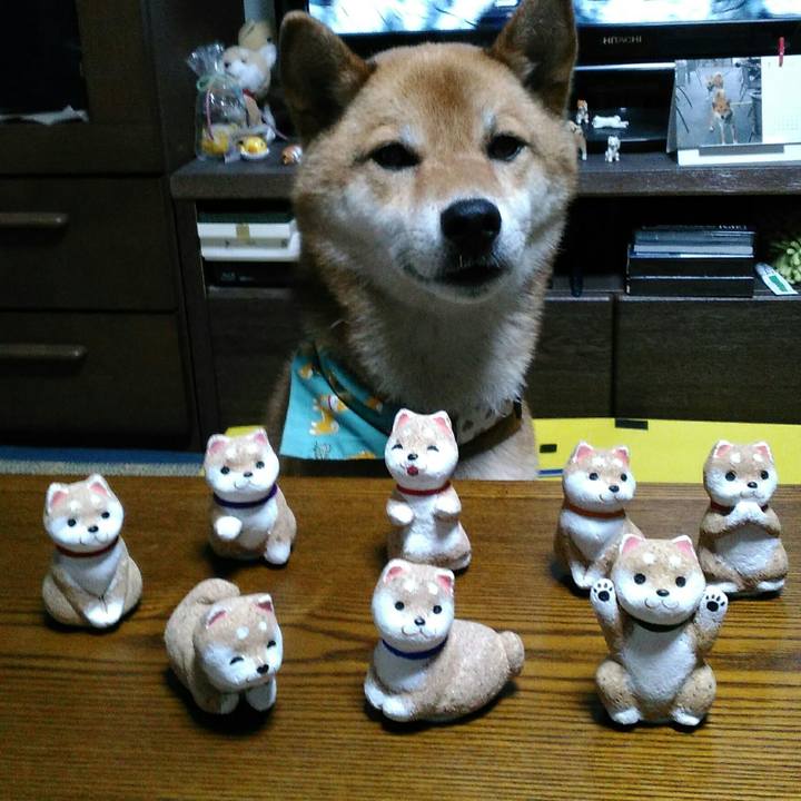 2c357716 3d67 428c 9b6d 4095b4e37024