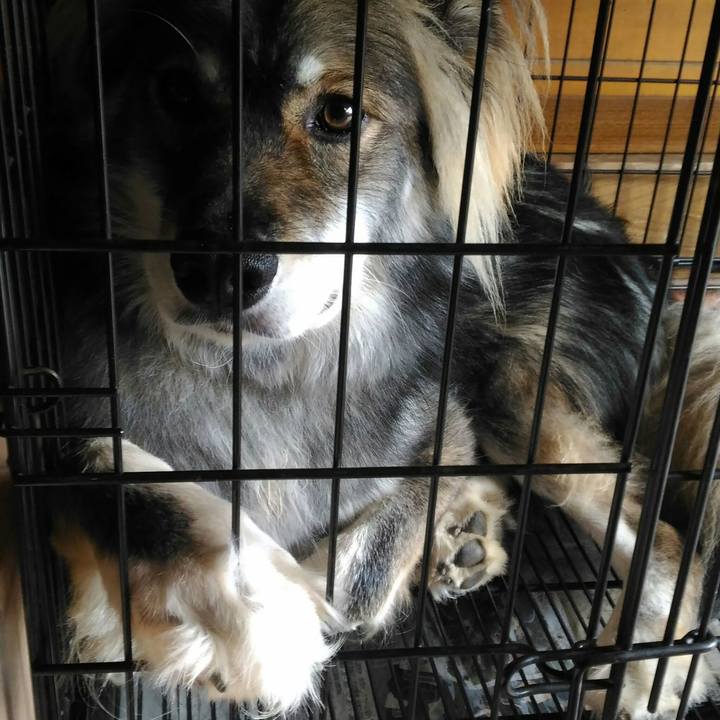 2c35a82d 6623 4e09 994c b87547bee097