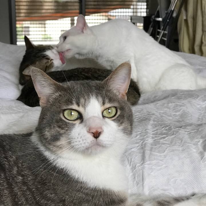 2c35d750 5bbb 475b 8b38 006f3a023f89