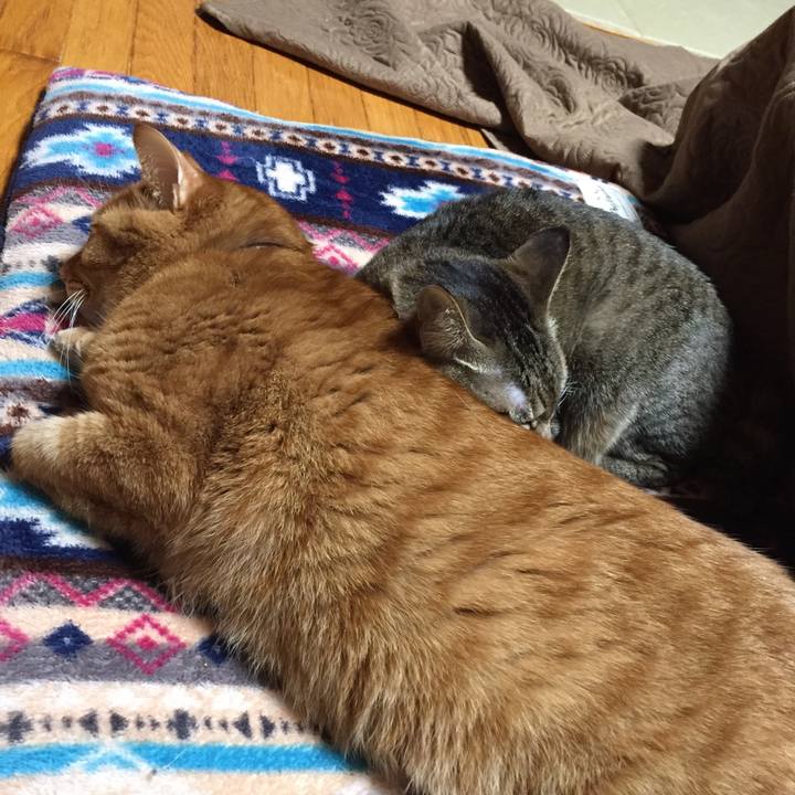 2c35e59e 9204 4806 9372 75b2bb0526fb