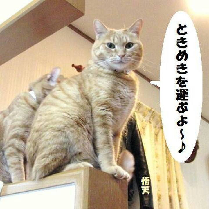 2c36242b 969f 4e7a a380 d845eb26f0a4