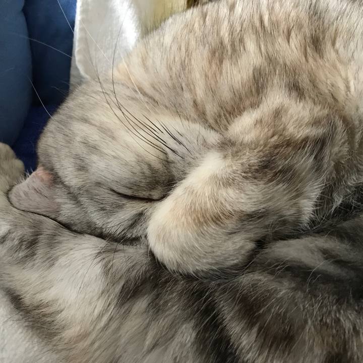 2c364f0c f325 4ebf a8c5 8f4862c08f42