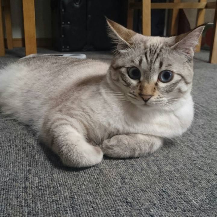 2c36d1e9 186f 449f 8878 885dadc5db34