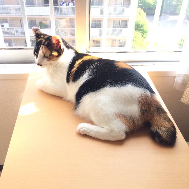 2c37fa54 edab 43fa 9ca5 eaafd126851d