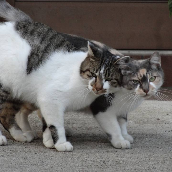 2c37fd22 abf7 4ef0 84b5 8edc6e745804