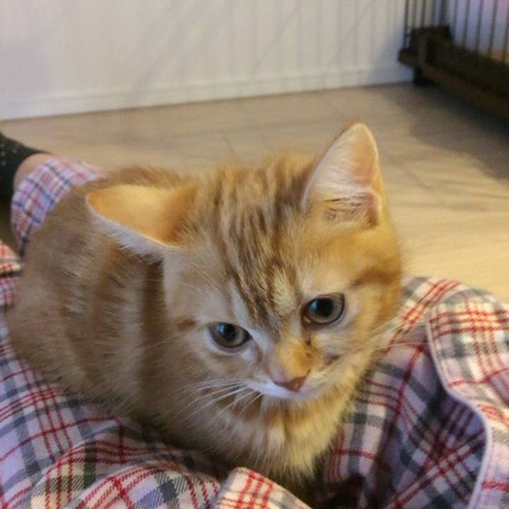 2c382a66 98ed 440b 8324 4d3d16fdfbb9