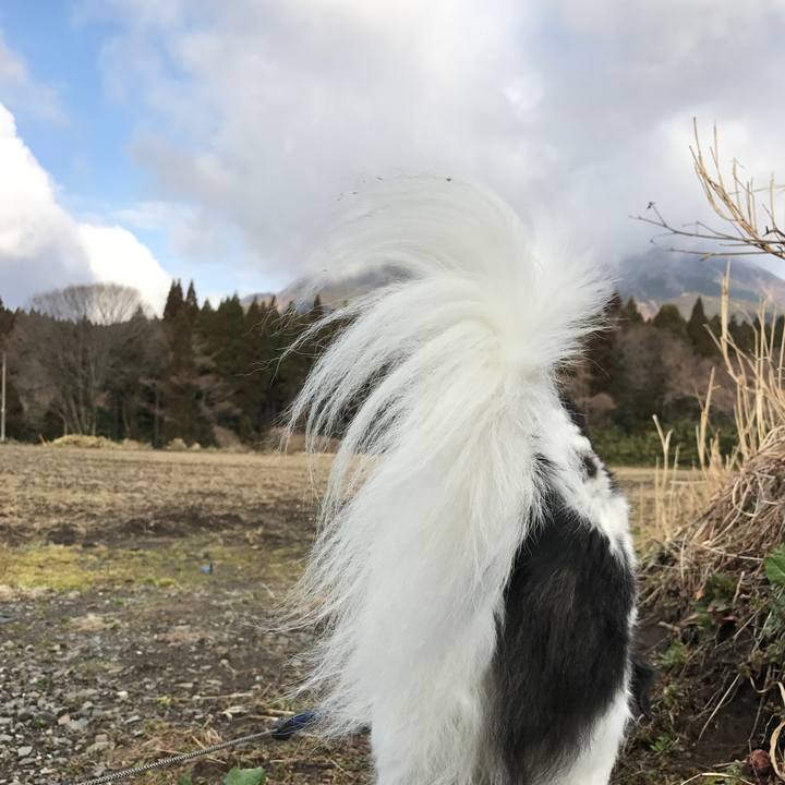 2c38d718 1da5 4f2b 9130 75a33c17ab38