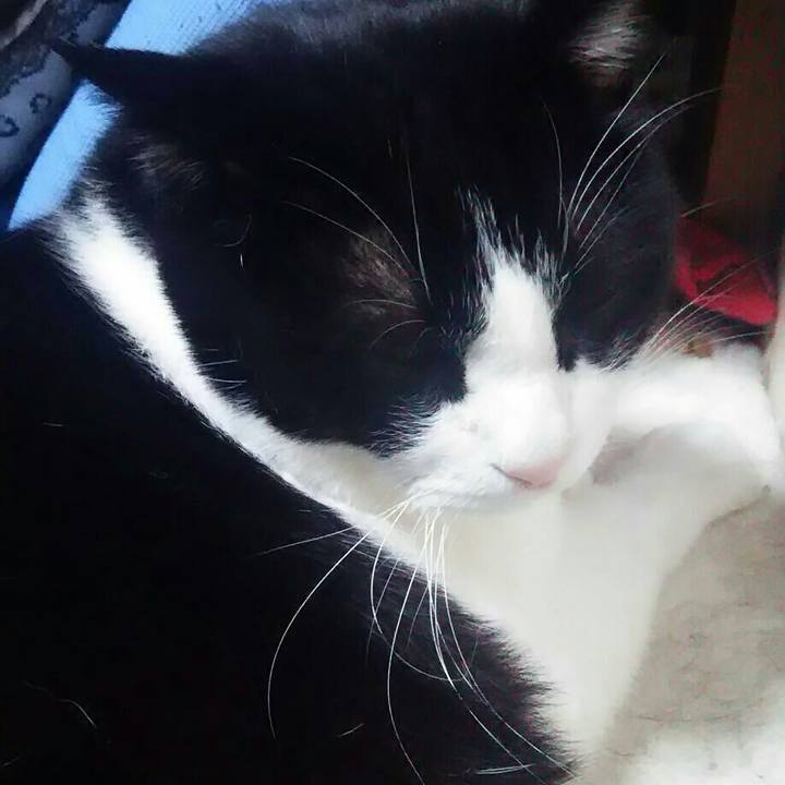 2c392e6b e45b 4e9a bc9f 3c4e60e52ca4