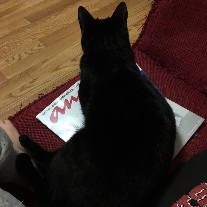 2c397486 612c 44c7 87a0 11b29ac8271a