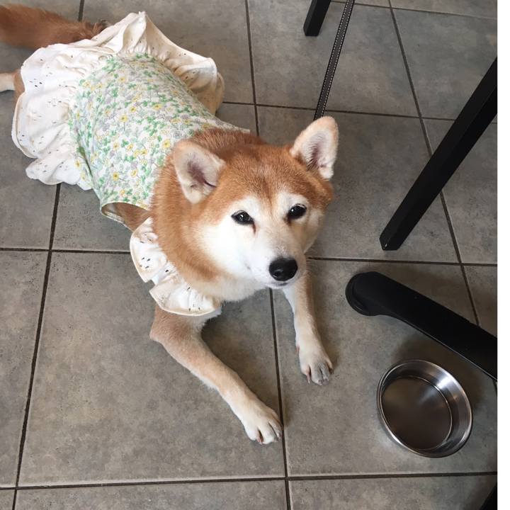 2c3a0f64 ccdf 4f3d 94fd c62dbbfe2742