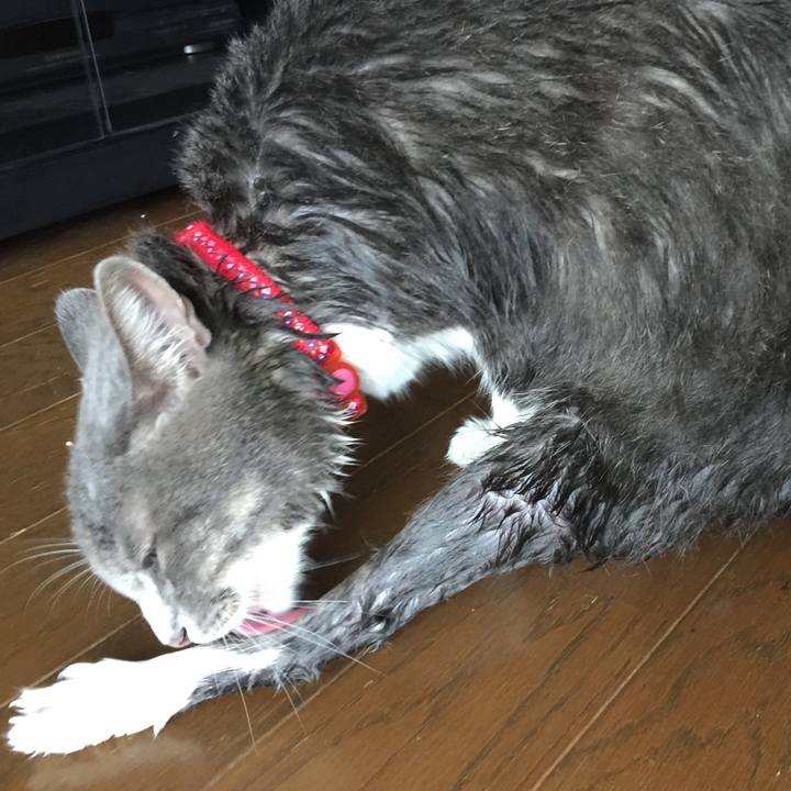 2c3b4de2 9e28 458f adc1 1397bfac6f77