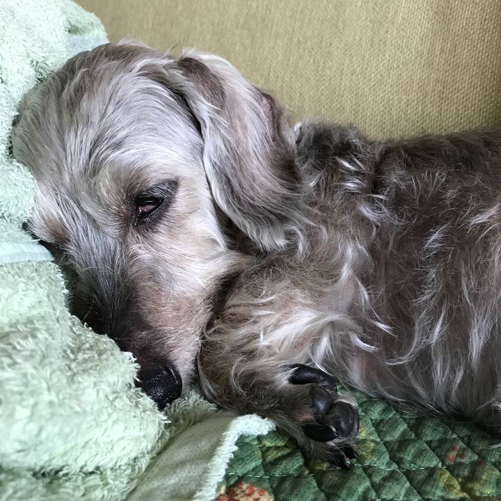 2c3b63b9 f315 4554 b7ea b4f389eb0e17