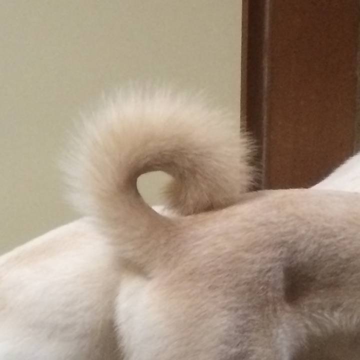 2c3b76e6 bb93 4b0d 9968 d8c1c983ddf4