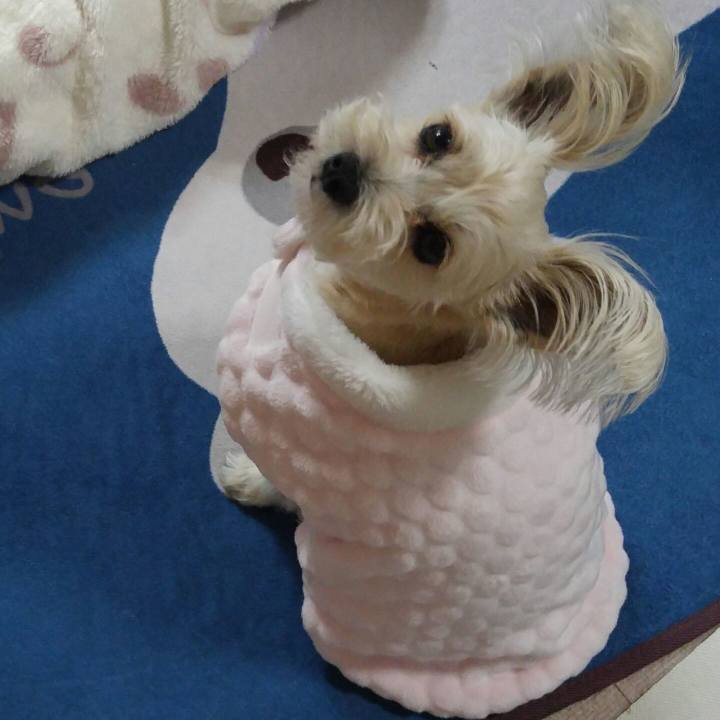 2c3be21d dc92 4977 ae11 8586dcc95e48