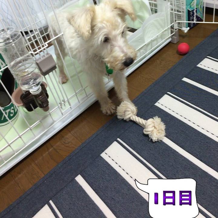 2c3c3bfd 39d1 4a04 8ded c001b9d0c094