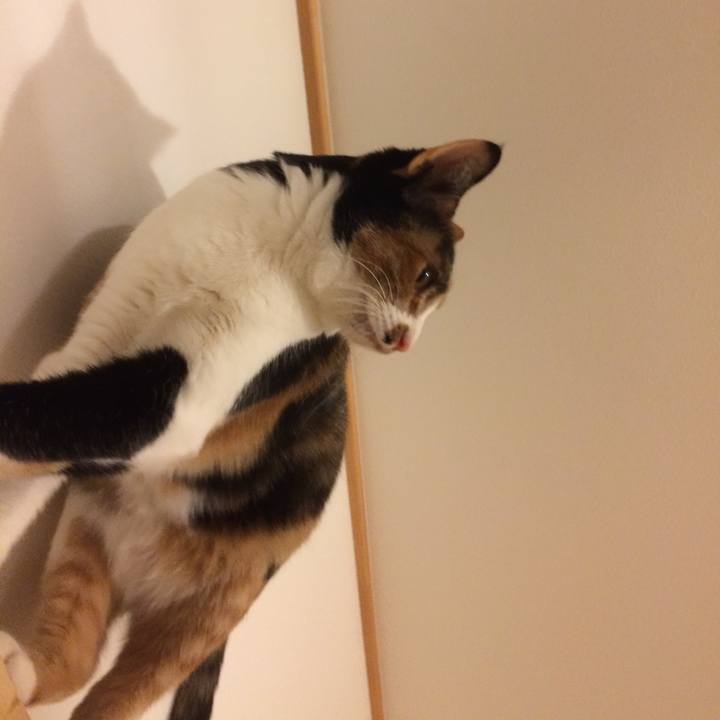 2c3cbc5d 1a38 460a 9795 680218a9e891