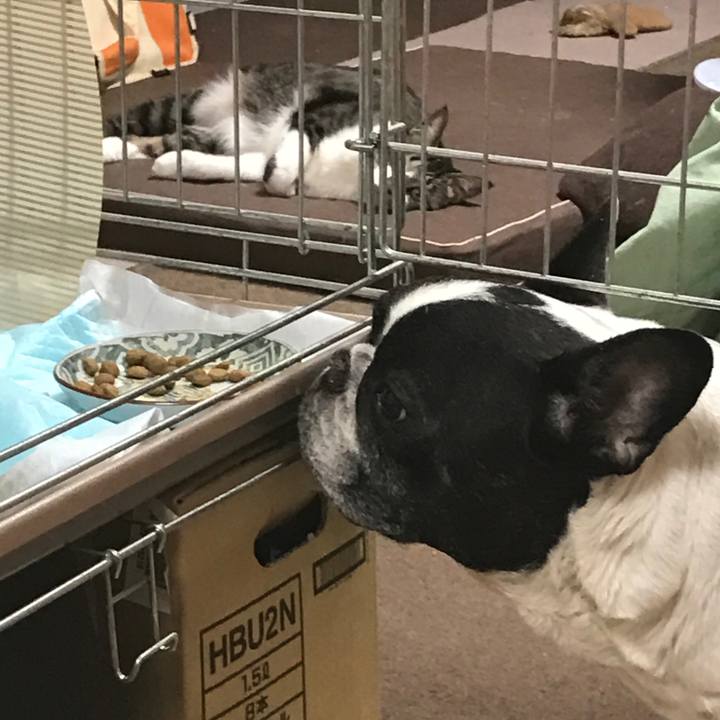 2c3d1254 cc88 4b18 994b f2b3b0633ef7