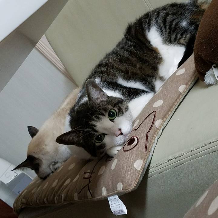 2c3db128 ed31 4b31 9538 d3313d977fcd