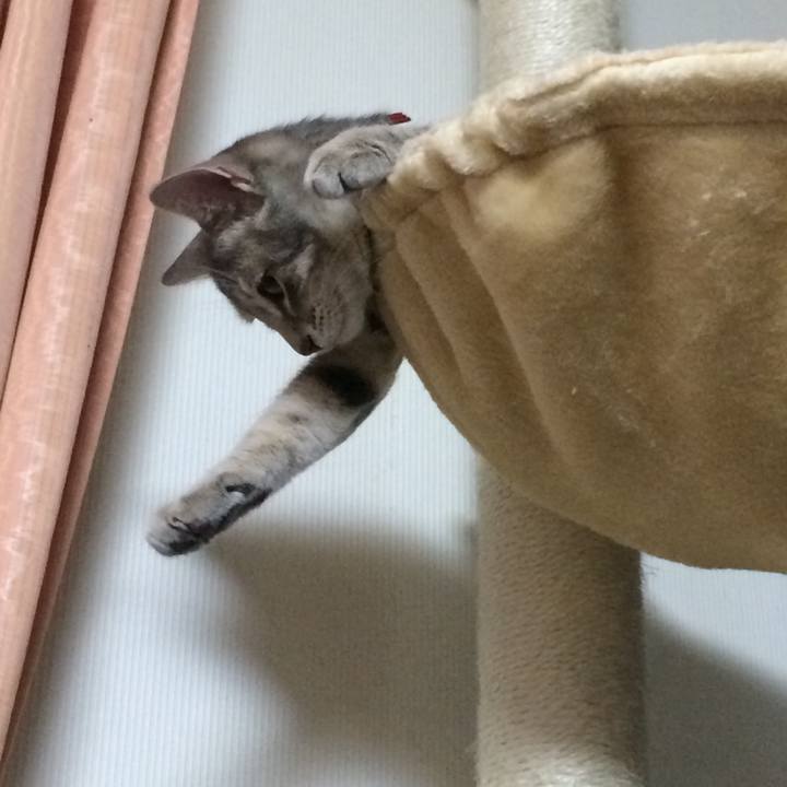 2c3de018 3b66 4288 86bf 75b9e1f56e8d