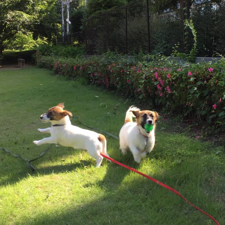 2c3de076 1af8 418a ac0e e1f6205d83c8