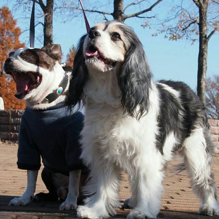 2c3e3b8d 56f8 446a b3de b66de1c46ff3