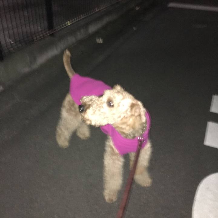 2c3e50c6 dd2a 4cc0 99ba bce01fcf21b8