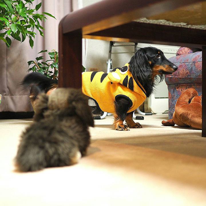 2c3ebc93 4218 4017 817d d5332c0ee39f