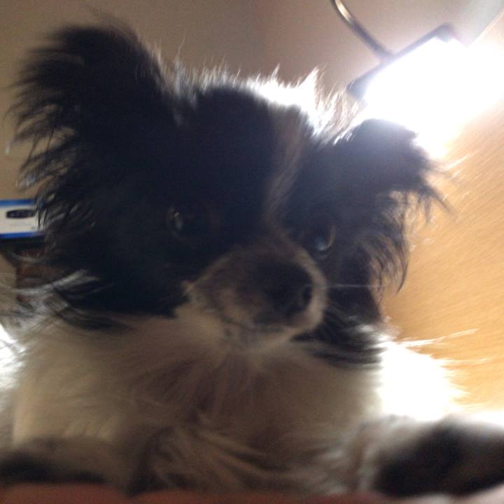 2c3ecc8d 6454 4caa af2e 118614006699