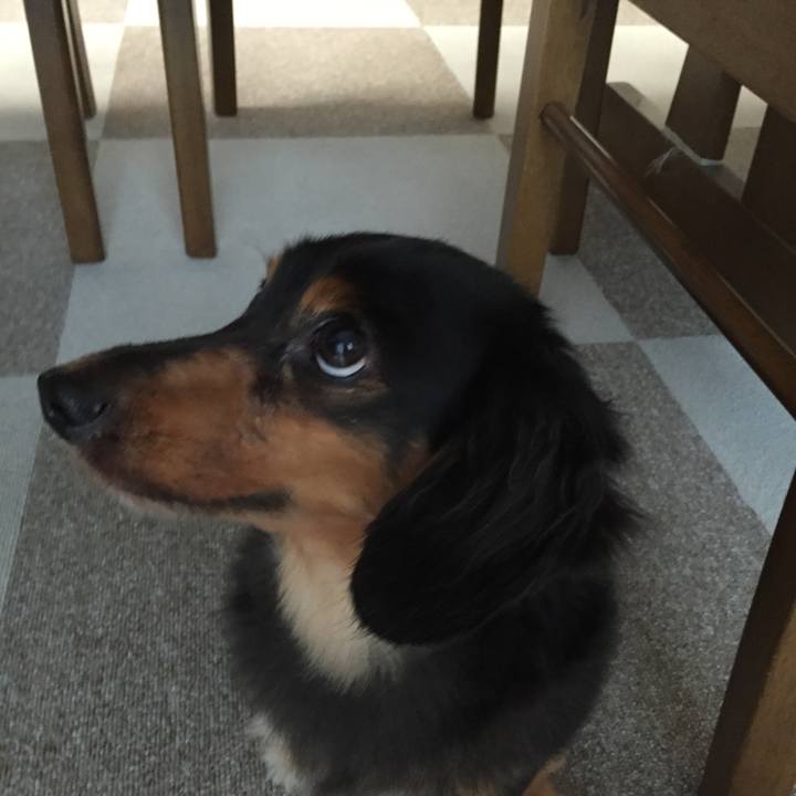 2c3efdd8 17bf 41cf b9cb 6c1d4148545e