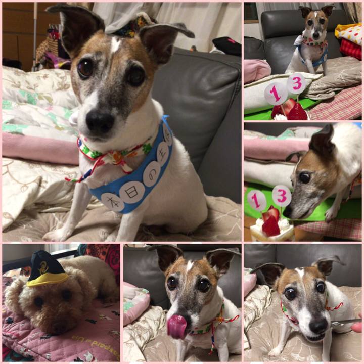 2c3f0733 f77c 4fa2 8bef 8f937ed0e9c4