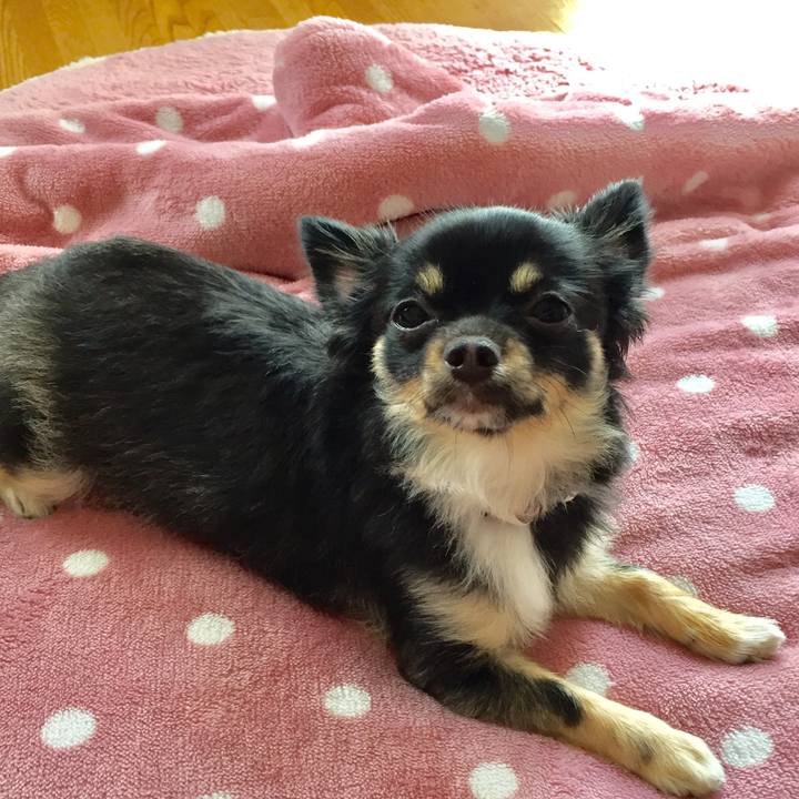 2c3f2232 dee3 447f 8a3a bd3a6616c4bc