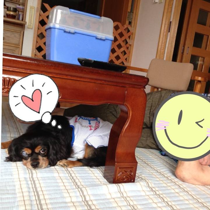 2c407d74 34ef 4a05 abdf 66ecd89fd436