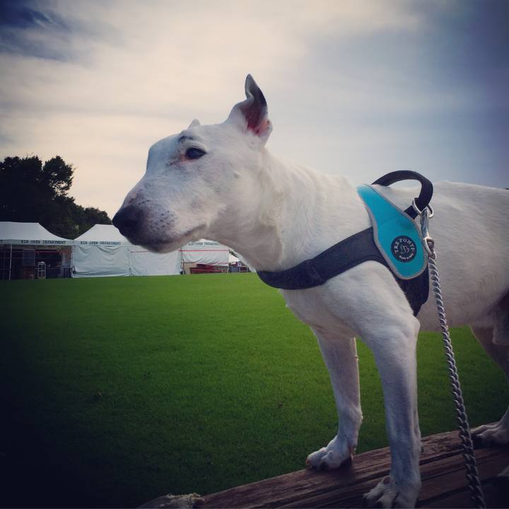 2c408d63 c940 4f41 b41c 79ded6e5e058