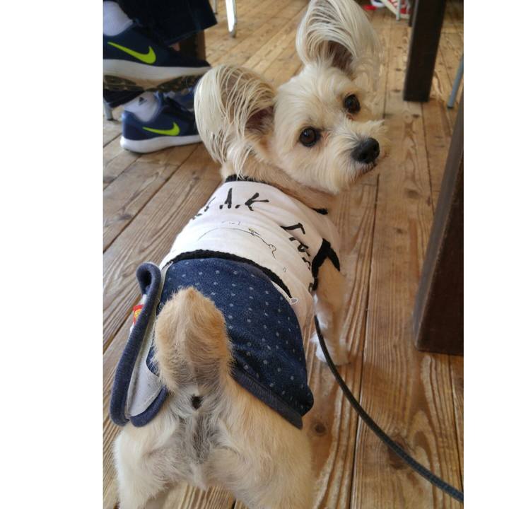 2c40ac62 85bd 4f95 abf4 53a1b73b85f4