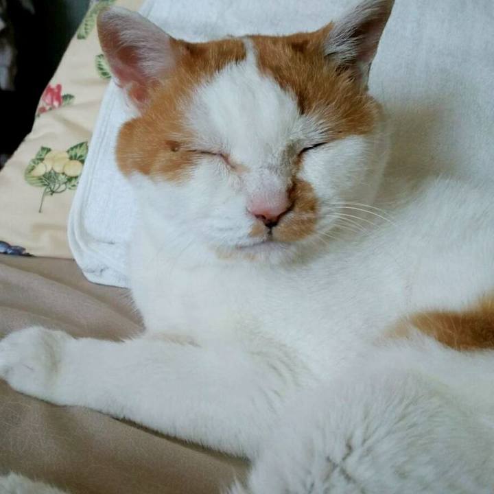 2c410dbd b68c 4a66 acb2 fcf0753261b7