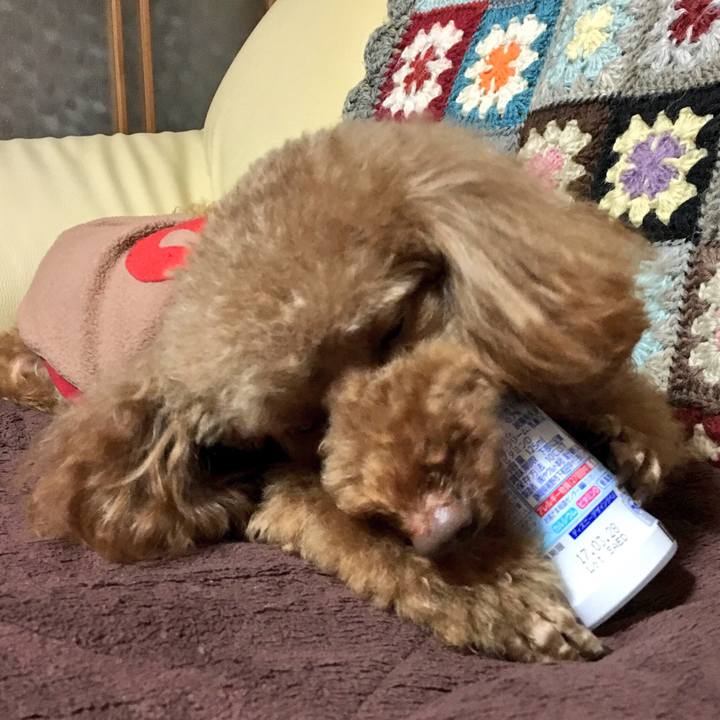 2c4112d4 ddc9 44e3 92a6 236a68d79a59