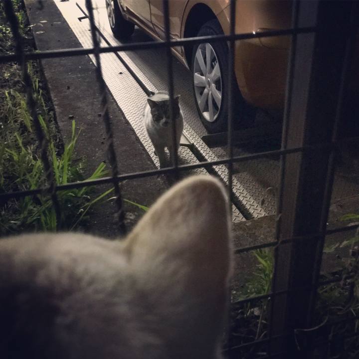 2c4131e3 0a22 4551 85e3 d41fc1fe4046