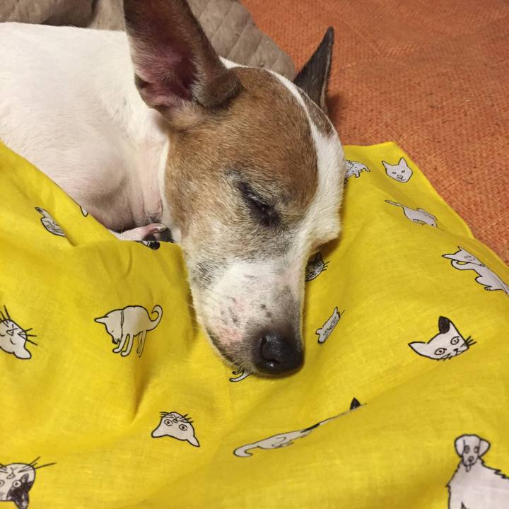 2c41e210 e846 4f15 866d 2ed4281d2afc