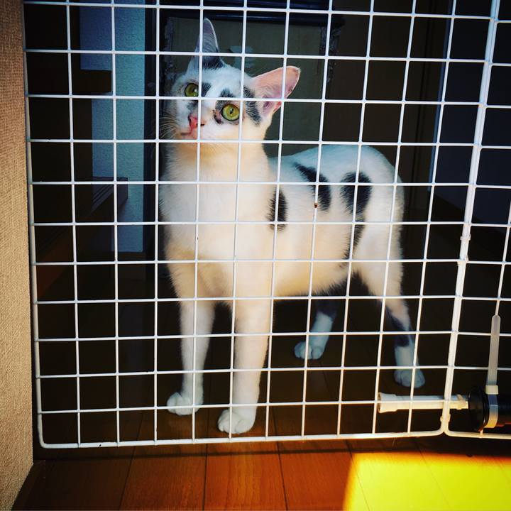 2c42fb82 b238 4cfc a817 014b156eca5a