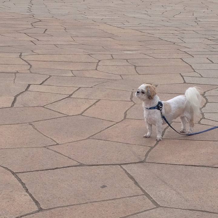 2c43dcce 26f7 4750 80bd c77562aa5d16