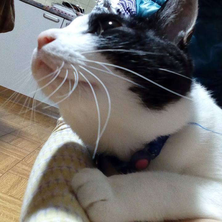 2c446d29 245d 46d3 bf63 5133e91844f8