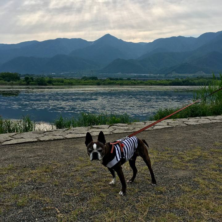 2c44e1db 844b 40f3 99cf d955d0453447