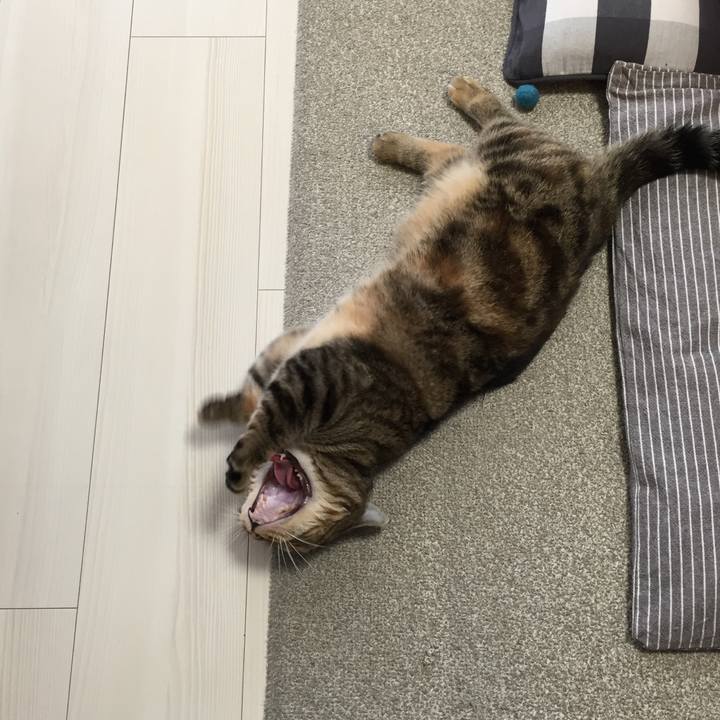 2c450576 9b95 45c9 8d83 c50a54b6b069