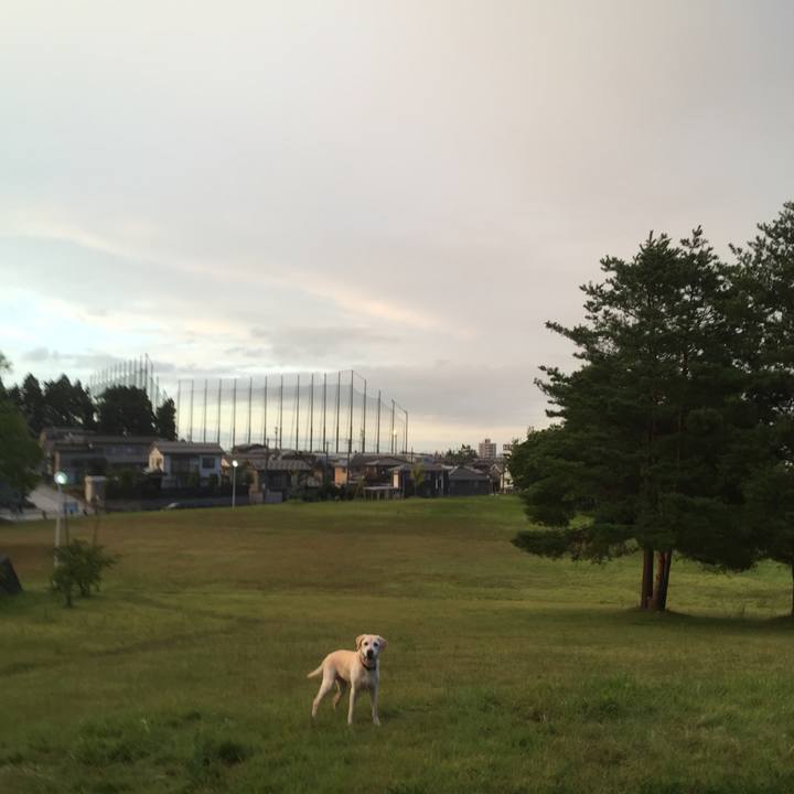 2c453e32 2588 4cae aebe d676d8cb3656