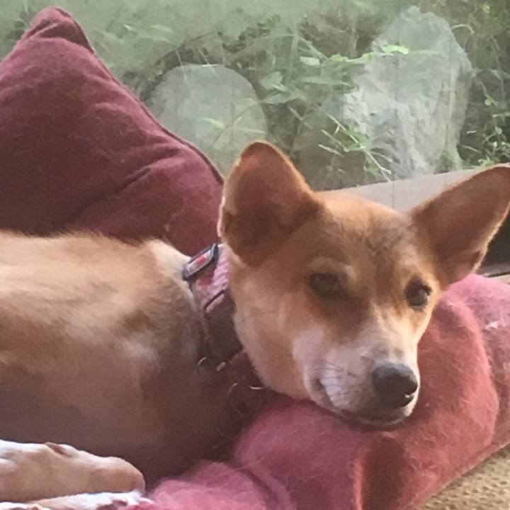 2c470e30 2c64 4990 9ea2 1dabeb350516