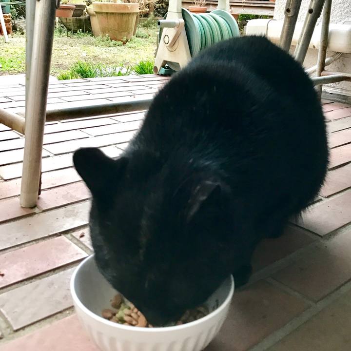 2c47c38b 1a61 4786 9399 8a1301c4ee14