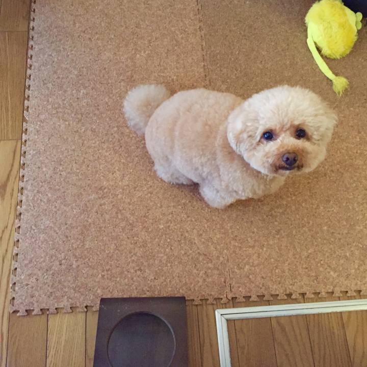 2c4973e7 753b 474e 94b1 c47eb878d704